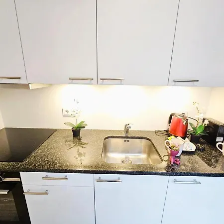 Apartment Luxury 1 Bedroom Flat With Parking