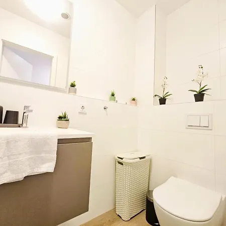 Luxury 1 Bedroom Flat With Parking Apartment